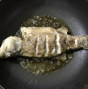 第五步